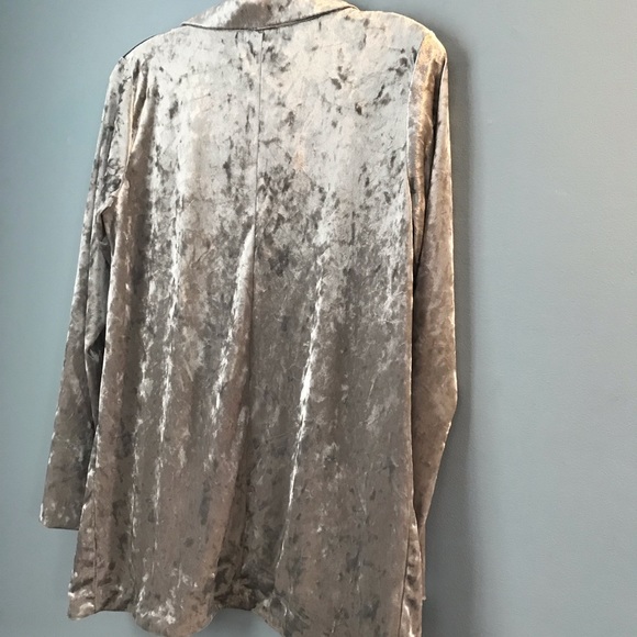 Velour blazer - Picture 3 of 5